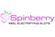 Spinberry logo
