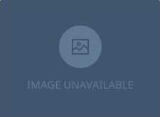 no results icon