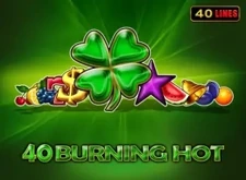 40 Burning Hot logo