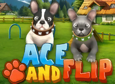 Ace and Flip logo