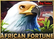 African Fortune logo