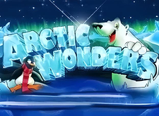 Arctic Wonders logo