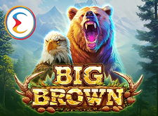 Big Brown logo