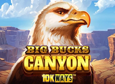 Big Bucks Canyon 10k Ways logo