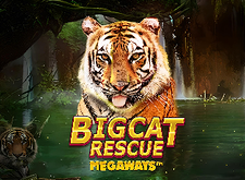 Big Cat Rescue MegaWays logo