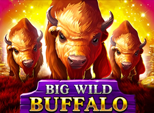 Big Wild Buffalo logo