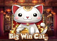 Big Win Cat logo