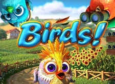 Birds logo