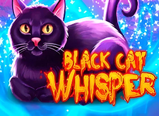 Black Cat Whisper logo