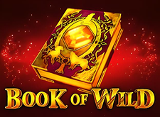 Book Of Wild logo