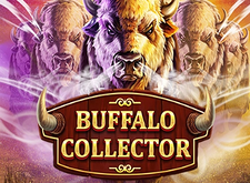 Buffalo Collector logo