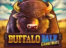 Buffalo Dale Grandways logo