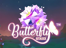 Butterfly Staxx logo