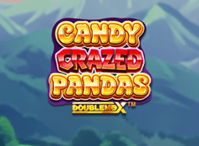 Candy Crazed Pandas Doublemax logo