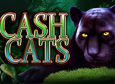 Cash Cats logo