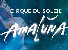 Cirque du Soleil Amaluna logo