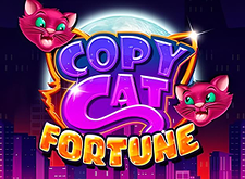 Copy Cat Fortune logo