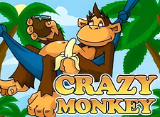 Crazy Monkey logo