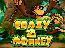 Crazy Monkey 2 logo