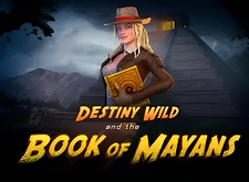 Destiny Wild and the Book of Mayans logo