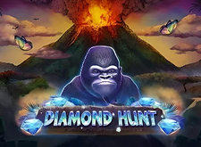 Diamond Hunt logo
