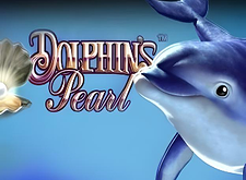 Dolphins Pearl logo
