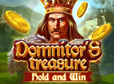 Domnitors Treasure logo