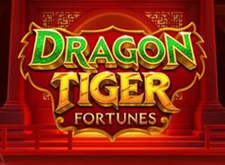 Dragon Tiger Fortunes logo