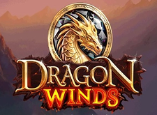 Dragon Winds logo