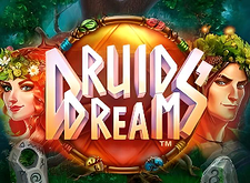Druids Dream logo