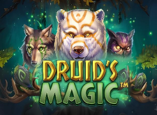 Druids Magic logo