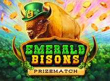 Emerald Bisons PrizeMatch logo