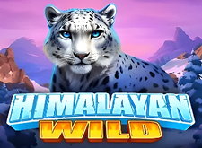 Himalayan Wild logo