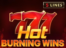 Hot Burning Wins logo