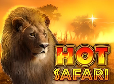 Hot Safari logo