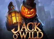 Jack O Wild logo