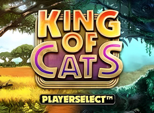King of Cats logo