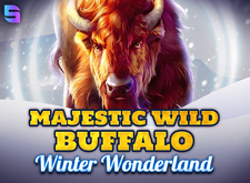 Majestic Wild Buffalo Winter Wonderland logo