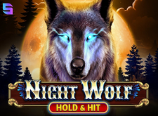 Night Wolf Hold and Hit logo