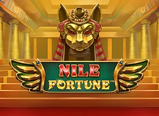 Nile Fortunes logo