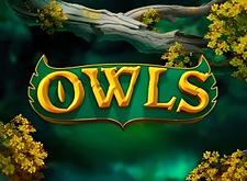 Owls logo