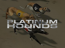 Platinum Hounds logo
