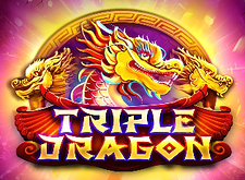 Platipus Triple Dragon logo