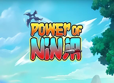 Power of Ninja logo