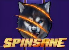 Spinsane logo
