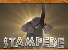 Stampede logo