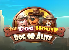The Dog House Dog or Alive logo
