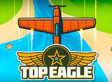 Top Eagle logo