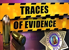 Traces of Evidence logo