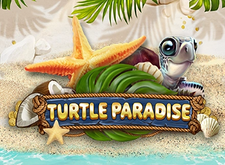 Turtle Paradise logo